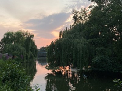 Annie Graham – Favourite&nbsp;Covers