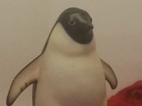World Penguin Day&nbsp;2021