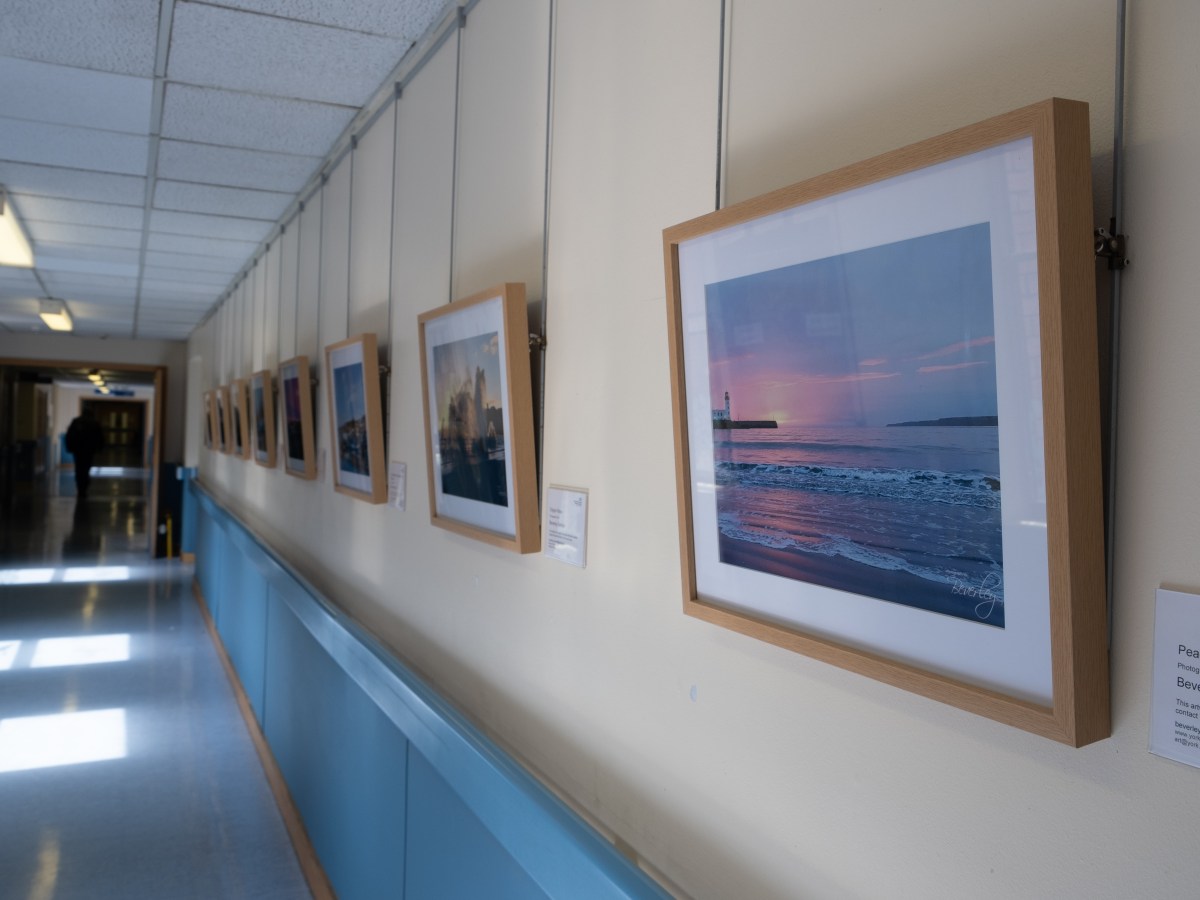 Exhibition at Scarborough Hospital by staff member Beverley&nbsp;Senturk