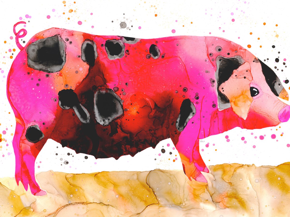 Hidden Talents – Katrina Mansfield – Fluid&nbsp;Artist