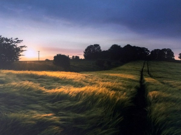 Alan Wise photography exhibition at York&nbsp;Hospital