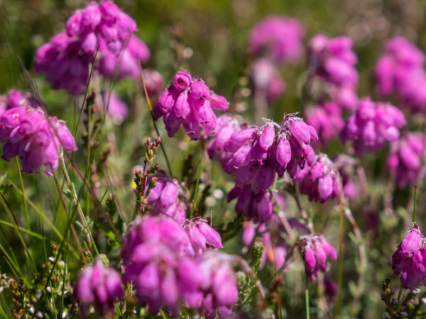 Mindful Photography 5 Days of Colour ‘Scavenger&nbsp;Hunt’