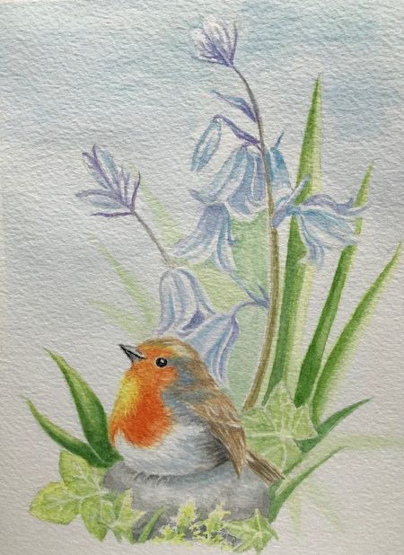 watercolour painting of robin and bluebells by Wendy Purvis