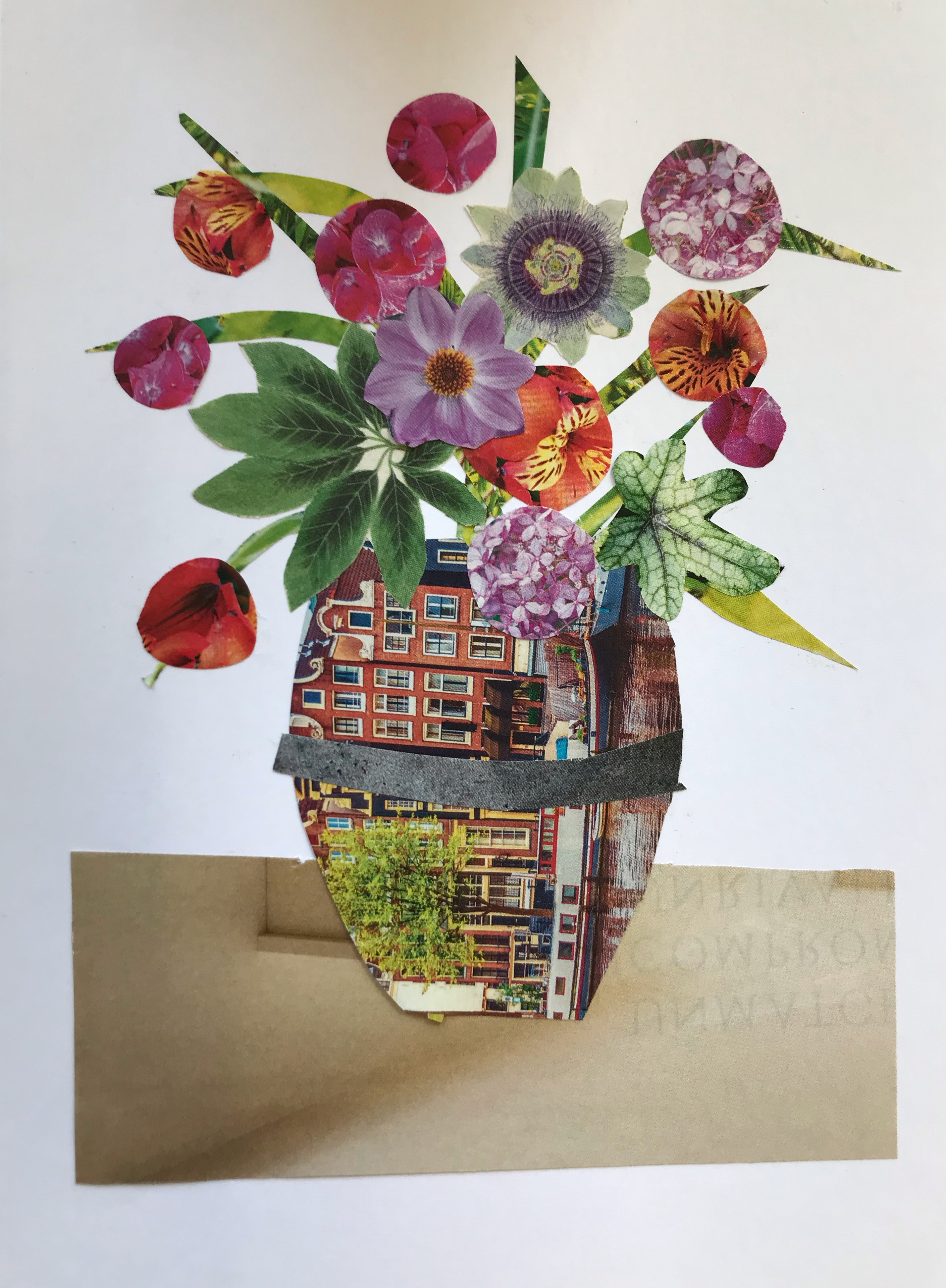 Collage of flower pot