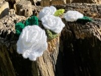 A gift of Yorkshire Roses from York&nbsp;Minster