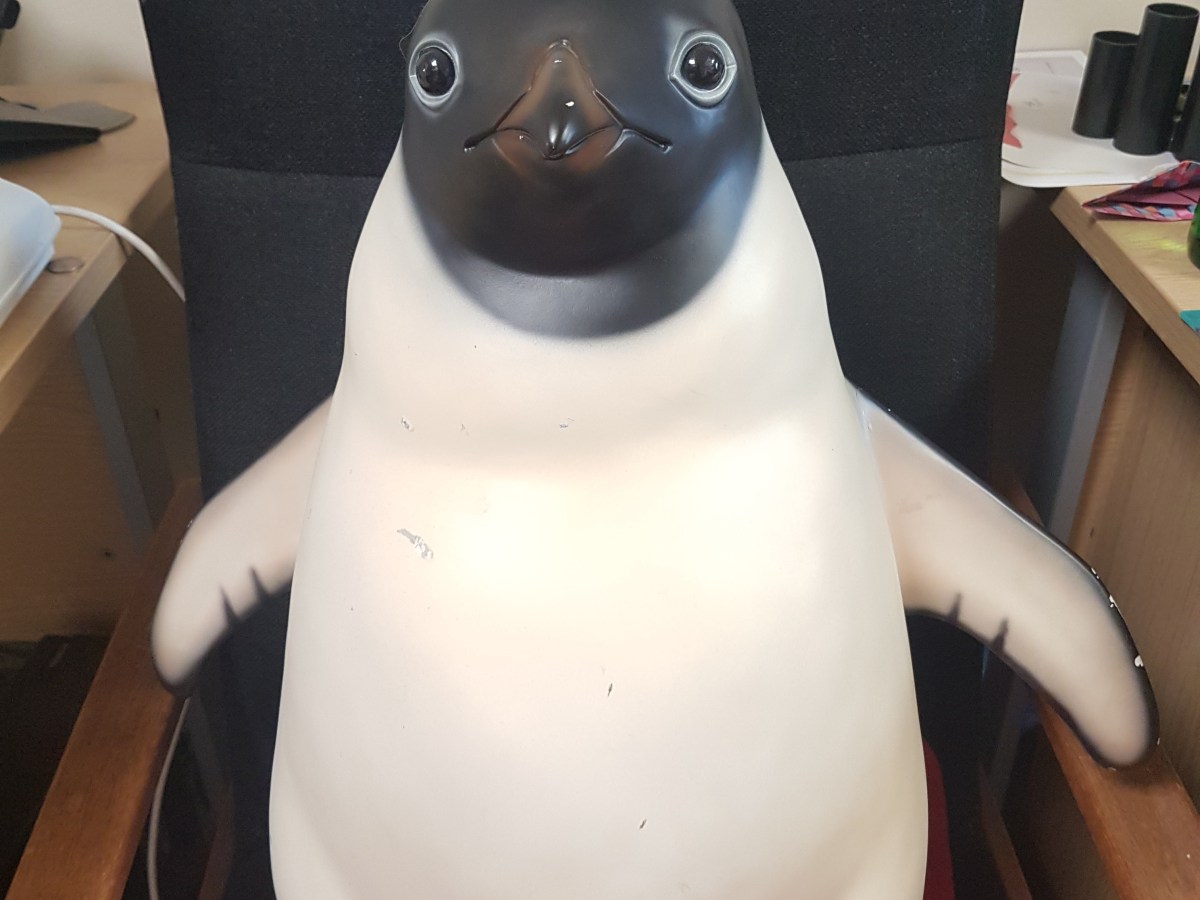 Introducing The Duke