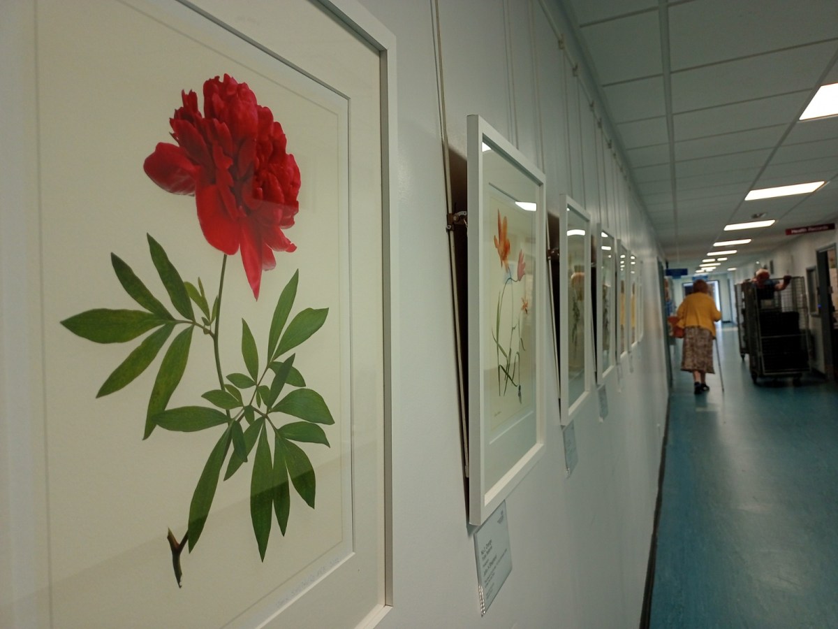 Tribute to the&nbsp;Rainbow